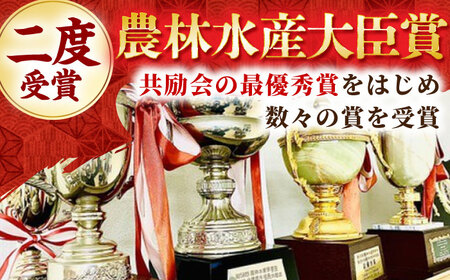 【全6回定期便】佐賀牛 ハンバーグ5個セット HBH048 ハンバーグ 佐賀牛 黒毛和牛 定期便
