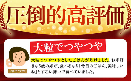 令和7年産 無洗米 さがびより 夢しずく 計4kg ( 2kg×2種 )  [HBL001]無洗米 無洗米 無洗米 無洗米 無洗米 無洗米 無洗米