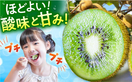 先行予約】佐賀県産 キウイフルーツ（ヘイワード）3.6kg【JAさが