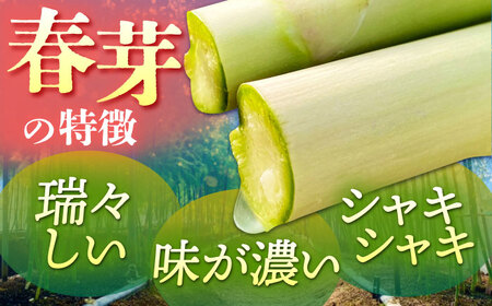 春芽 アスパラガス 700g  [HCC005] 野菜 アスパラ