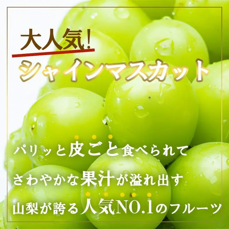 【2026年発送★先行予約】厳選!!池田青果のシャインマスカット1.0kg　2~3房173-006 | シャインマスカット 山梨県産シャインマスカット 大人気シャインマスカット 笛吹市産シャインマスカット 厳選シャインマスカット |