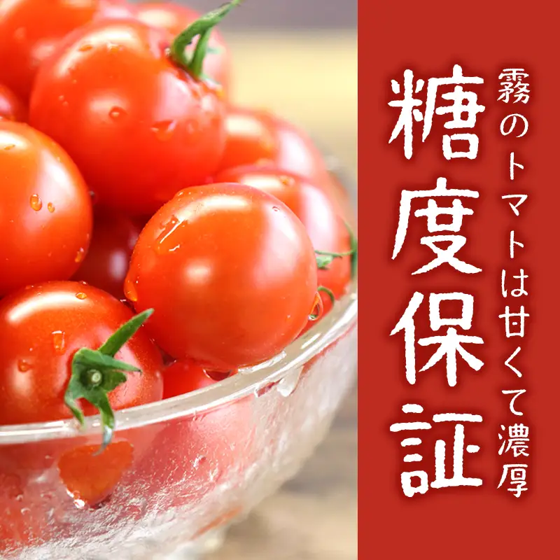 12月以降発送予約【霧で育てた濃厚な味】霧のトマト 200ｇ×4パック（07-54）