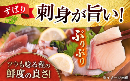 【五島列島直送】朝獲れ高級鮮魚セット4kg 五島市 / 鯛福丸水産[PDP003]  魚 鮮魚 セット 海鮮 直送 さかな 詰合せ 冷蔵