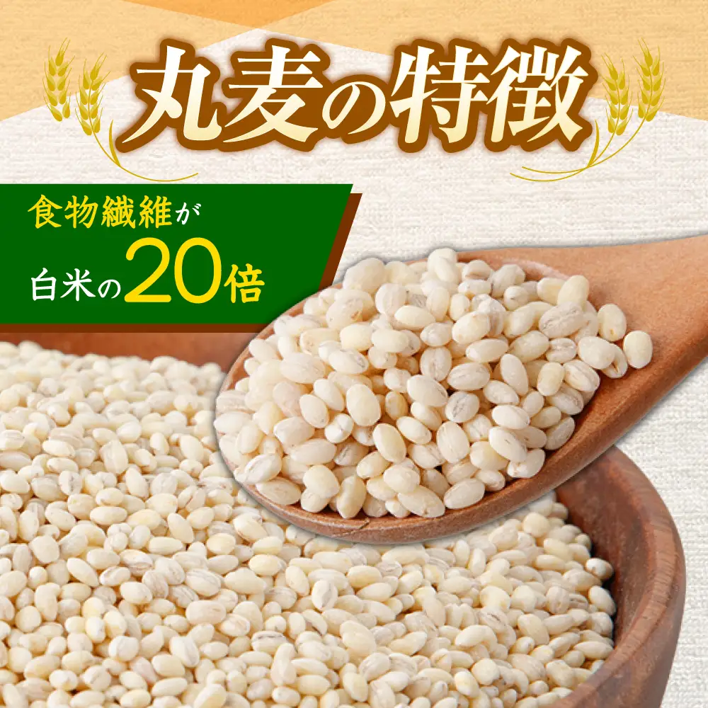 丸麦 20kg [AHBU001] 麦