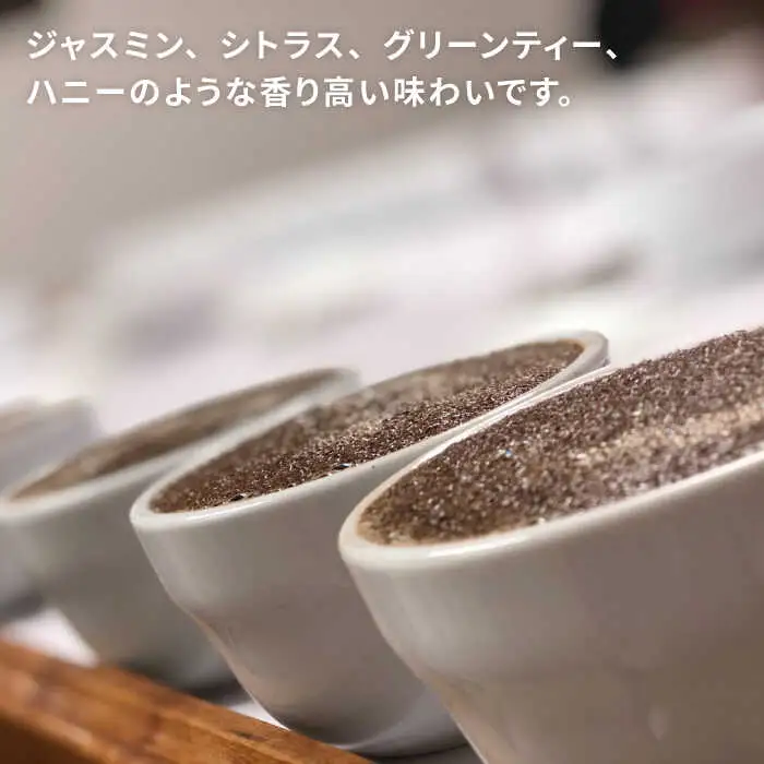 中煎り コーヒー 豆 250g × 2袋 （ 豆 ・ 粉 選べます ） ニカラグア産 エルポルベニール農園 ジャバニカ種 ナチュラル 《糸島》 【COFFEE UNIDOS】 [AQF005]