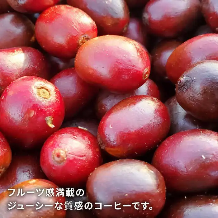 中煎り コーヒー 豆 250g × 2袋 （ 豆 ・ 粉 選べます ） ニカラグア産 ラベンディション農園 マラカツーラ種 ナチュラル 《糸島》 【COFFEE UNIDOS】 [AQF001]