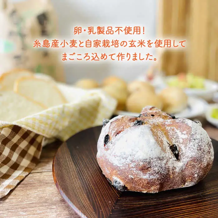 【 卵 / 乳製品 不使用 】玄米 パン 詰め合わせ 4種 セット《糸島》【天然パン工房楽楽】 【 いとしまごころ】 [AVC058]