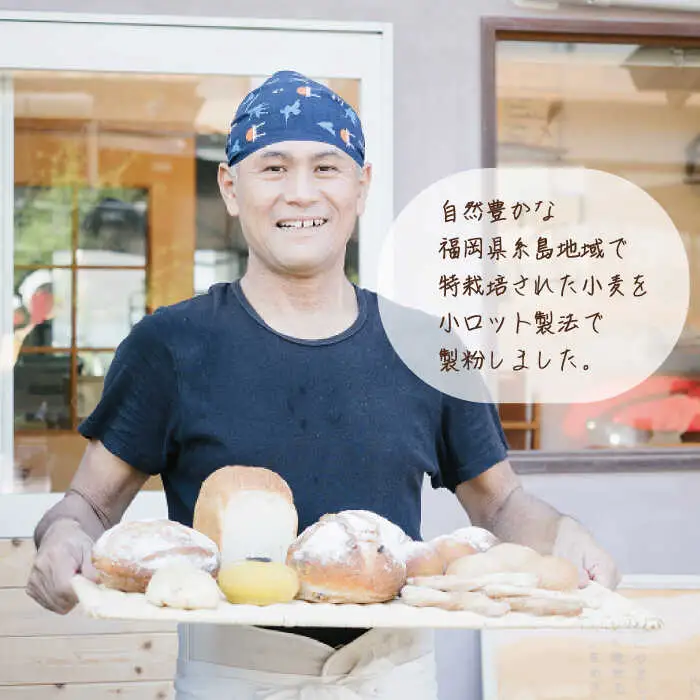 【 業務用 】 伊都 の かおり ( 中力粉 ) 10kg 《糸島》【天然パン工房楽楽】【いとしまごころ】 [AVC063]