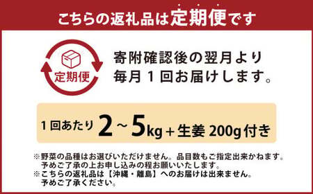 【定期便6回】旬の野菜の詰め合わせと栽培期間中農薬不使用の生姜200g付き 詰め合わせ 野菜セット 野菜 ギフト やさいセット お取り寄せグルメ 家庭用 旬野菜 新鮮 特産 農薬不要 食材