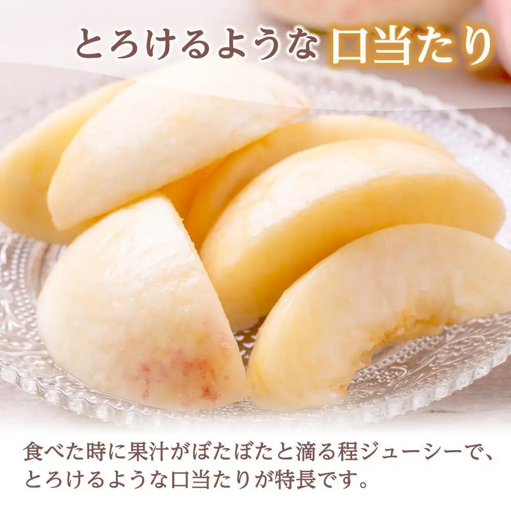 和歌山県産 白鳳 桃 5～8玉入り 秀品 先行予約［2027年6月下旬以降発送］［MG6］