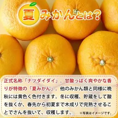 夏みかん 7.2kg［2027年4月中旬頃から発送］［先行予約］［UT73］