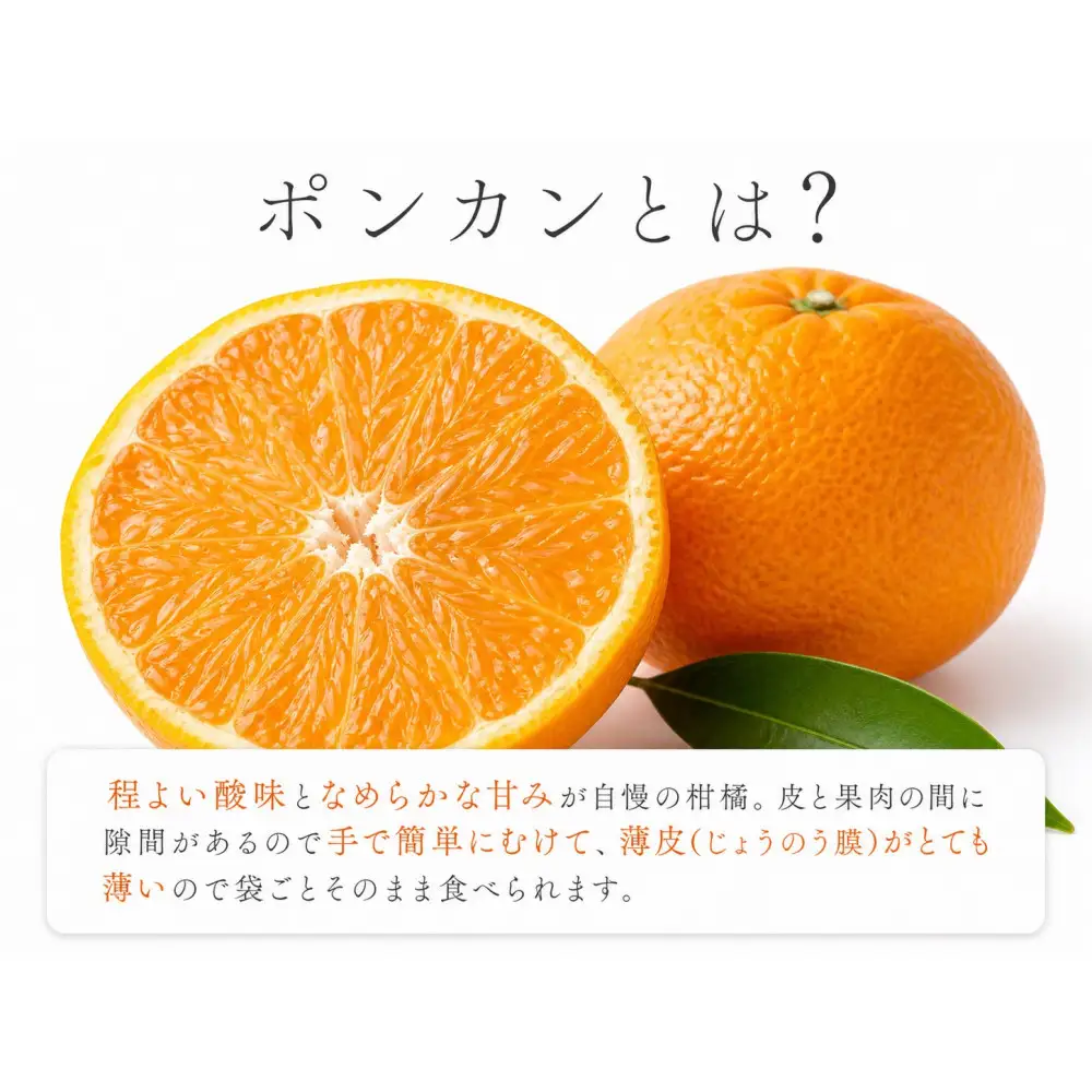 紀州和歌山有田産ポンカン　５ｋｇ［2027年2月上旬頃から2027年2月下旬頃に順次発送］［UT20］