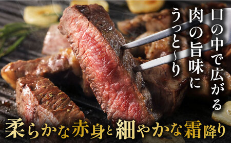 【6回定期便】佐賀県産 黒毛和牛 サーロインステーキ 1.2kg / ステーキ [IAG106]