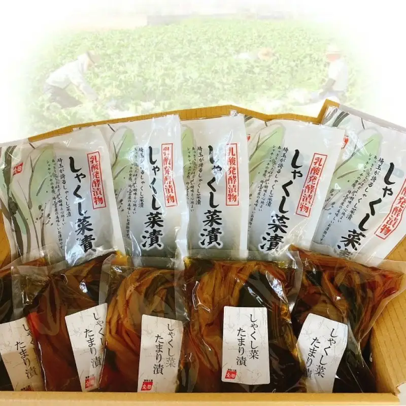 しゃくし菜漬　180g×10袋セット　【11218-0459】