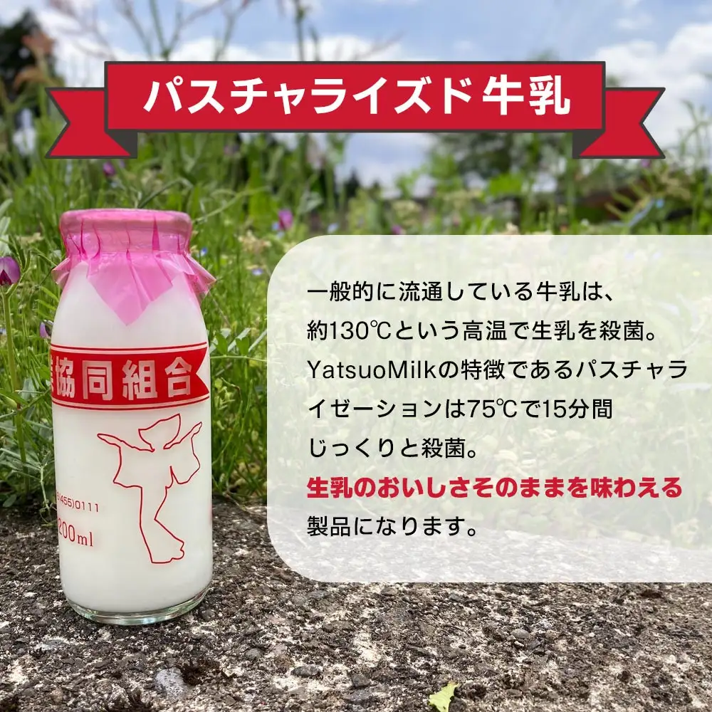 Yatsuo MILK (牛乳)10本セット　富山八尾のおいしいビン牛乳