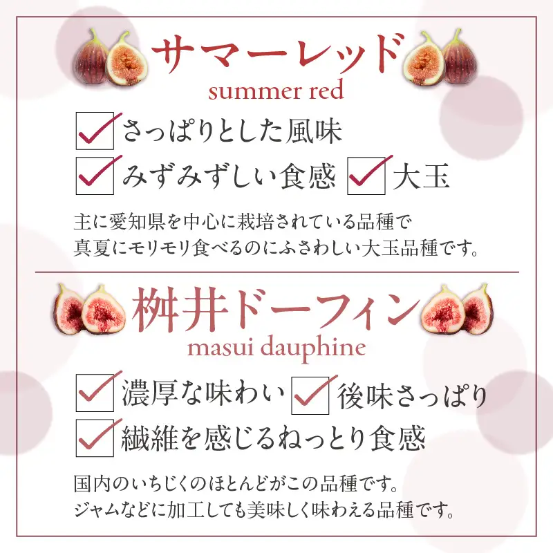 ふんわり柔らか朝どり完熟いちじく｜無花果 イチジク 果物