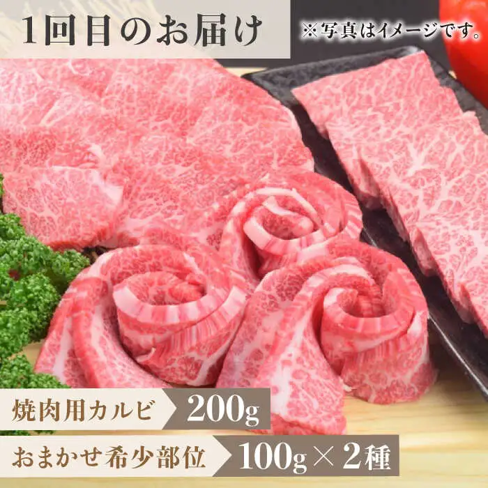 【全3回定期便】1ヶ月に1度の佐賀牛ひとり贅沢コース ステーキ/焼肉/スライス 牛肉 希少 赤身 カルビ ヒレ サーロイン モモ 切り落とし[FAY065]