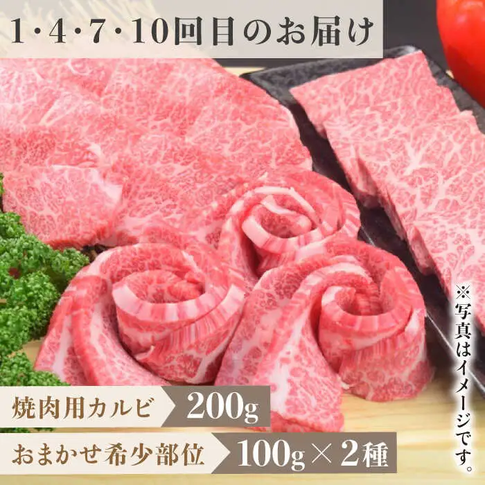【全12回定期便】1ヶ月に1度の佐賀牛ひとり贅沢コース ステーキ/焼肉/スライス牛肉 希少 赤身 カルビ ヒレ サーロイン モモ 切り落とし[FAY067]