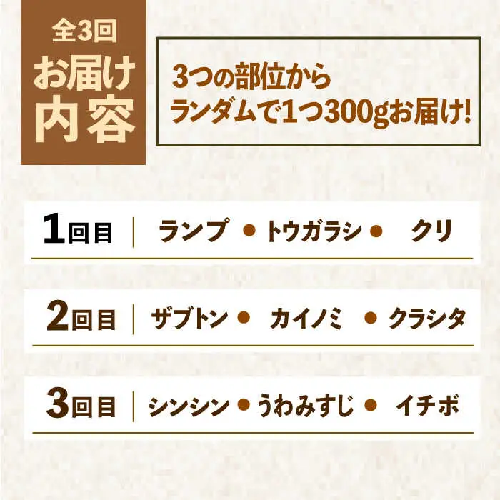 【全3回定期便】佐賀牛希少部位?ひとり贅沢焼肉コース? ランプ/クリ/トウガラシ/ザブトン/カイノミなど【ミートフーズ華松】 ブランド 高級 和牛 霜降り BBQ やわらか 冷凍 料理  精肉 牛肉 希少 赤身 イチボ ランプ ミスジ [FAY071]