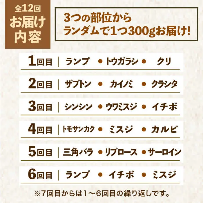 【全12回定期便】佐賀牛希少部位含む?ひとり贅沢焼肉コース? ランプ/クリ/トウガラシ/ザブトン/カイノミなど【ミートフーズ華松】 ブランド 高級 和牛 霜降り BBQ やわらか 冷凍 料理  精肉 牛肉 希少 赤身 イチボ ランプ ミスジ [FAY073]
