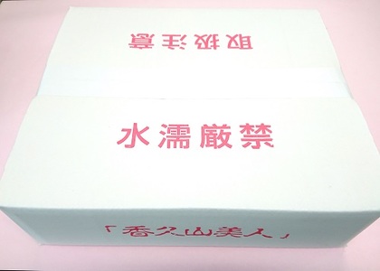 こんにゃくと山菜水煮の詰合せ(秋冬)※2026年10月～発送
