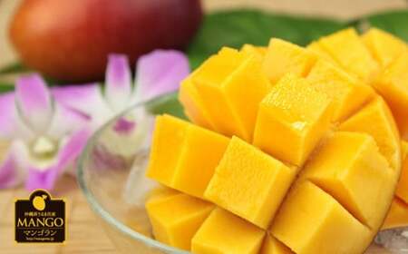 【 先行予約 2027年発送 】マンゴランのこだわりマンゴー 1kg