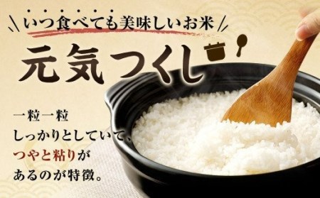元気つくし 15kg 米 福岡 お米 こめ コメ 精米 白米 国産 九州