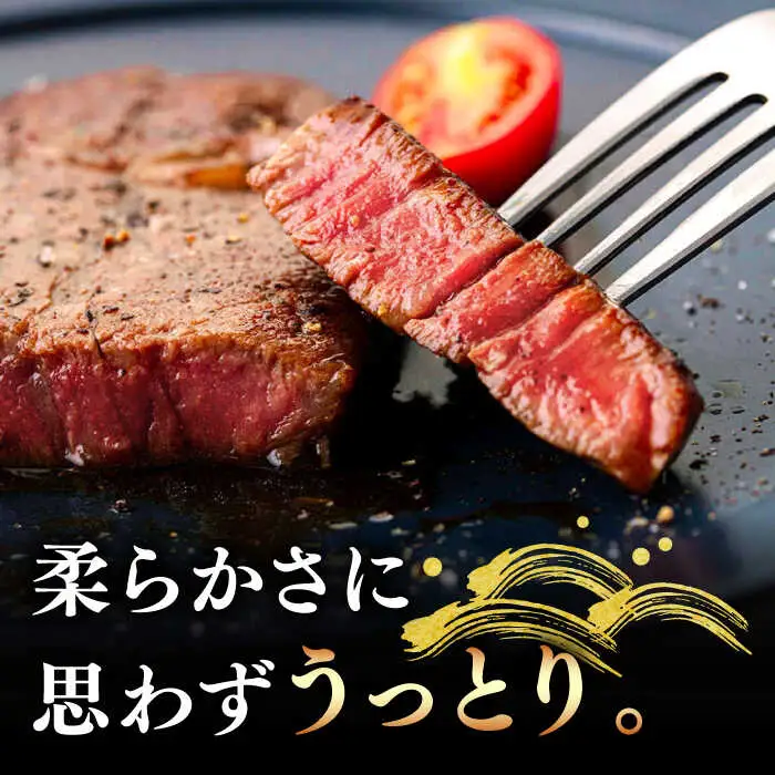 【全2回定期便】A4ランク以上 壱岐牛 ヒレステーキ 120g × 3枚 [JAA011] ヒレステーキ ヘレ フィレ 厚切り 赤身 希少部位 お肉 黒毛和牛 82000 82000円