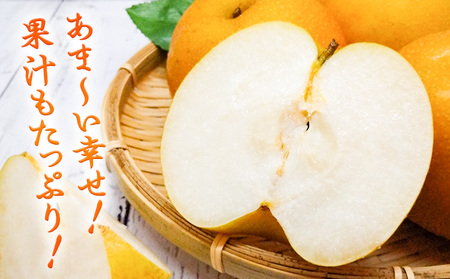幸水 梨 約4kg