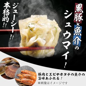 【訳あり】鹿児島県志布志市産黒豚使用 シュウマイ＆訳あり餃子 計60個(シュウマイ 10個×2パック・餃子  20個×2パック) a3-181