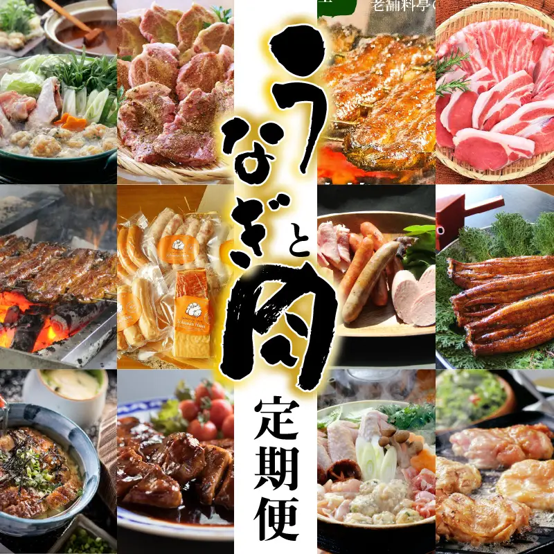 碧南市がチョイスした厳選定期便！ 【全12回】厳選！うなぎとお肉の定期便(毎月お届け）　H028-086
