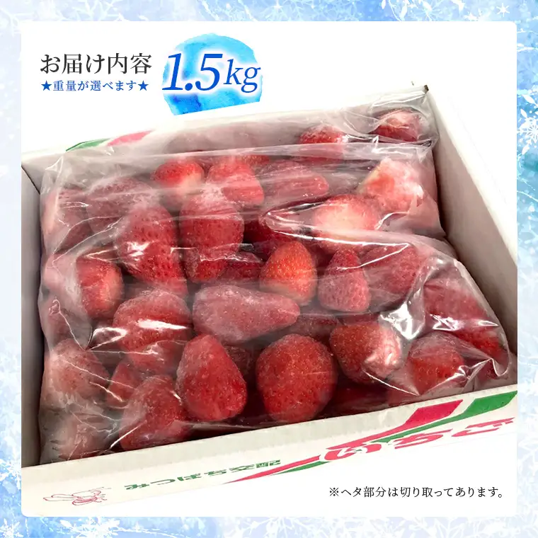 富津アクアファーム　冷凍完熟いちご 1.5kg　いちご フルーツ 果物 完熟 ストロベリー ベリー 冷凍 アクアファーム おすすめ 数量限定 章姫 紅ほっぺ 真紅の美鈴 おいCベリー かおり野 ヨーグルト スムージー ジャム お菓子 おやつ 氷いちご 房総 千葉県 富津市