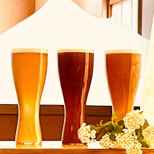 古河エールビール＆クラフト3本飲み比べギフトセット オリジナル熨斗つき ※北海道・沖縄・離島への配送不可 _CW02
