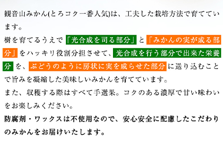 観音山みかん(とろコク一番人気) 4kg