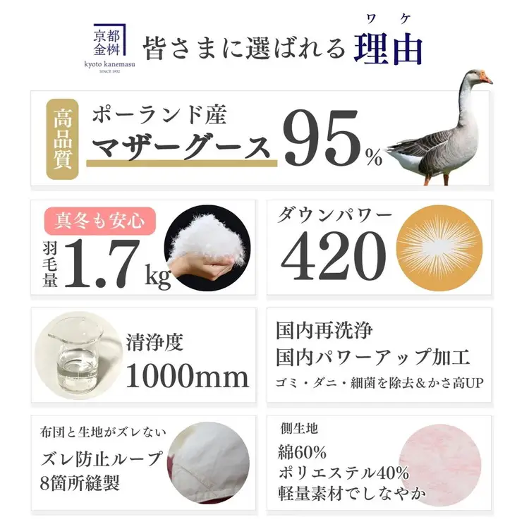 羽毛布団 ダブル ポーランド産マザーホワイトグースダウン95％ 布団 ロワーレ