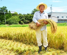 FY-031　大師の里のコシヒカリ10㎏（令和6年産）