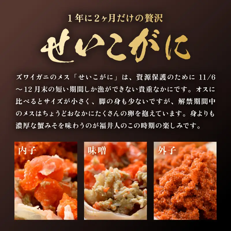 【先行予約】ボイルせいこがに 5杯 《 獲れたての味！》 ／期間限定 茹で ボイル 冷蔵 蟹 カニ 福井県 あわら市 海鮮 冬 旬 ※2026年11月中旬～2026年12月下旬の間で順次発送 [aw002-x001]