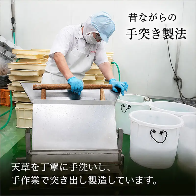 ところてん 昔ながらの手突きさらし トコロテン 1袋2パック×12袋 セット 三杯酢味 伊豆 天草 100% ところ天 心太 スイーツ お菓子 菓子 おやつ デザート 和菓子 加工食品 岐阜県池田町 