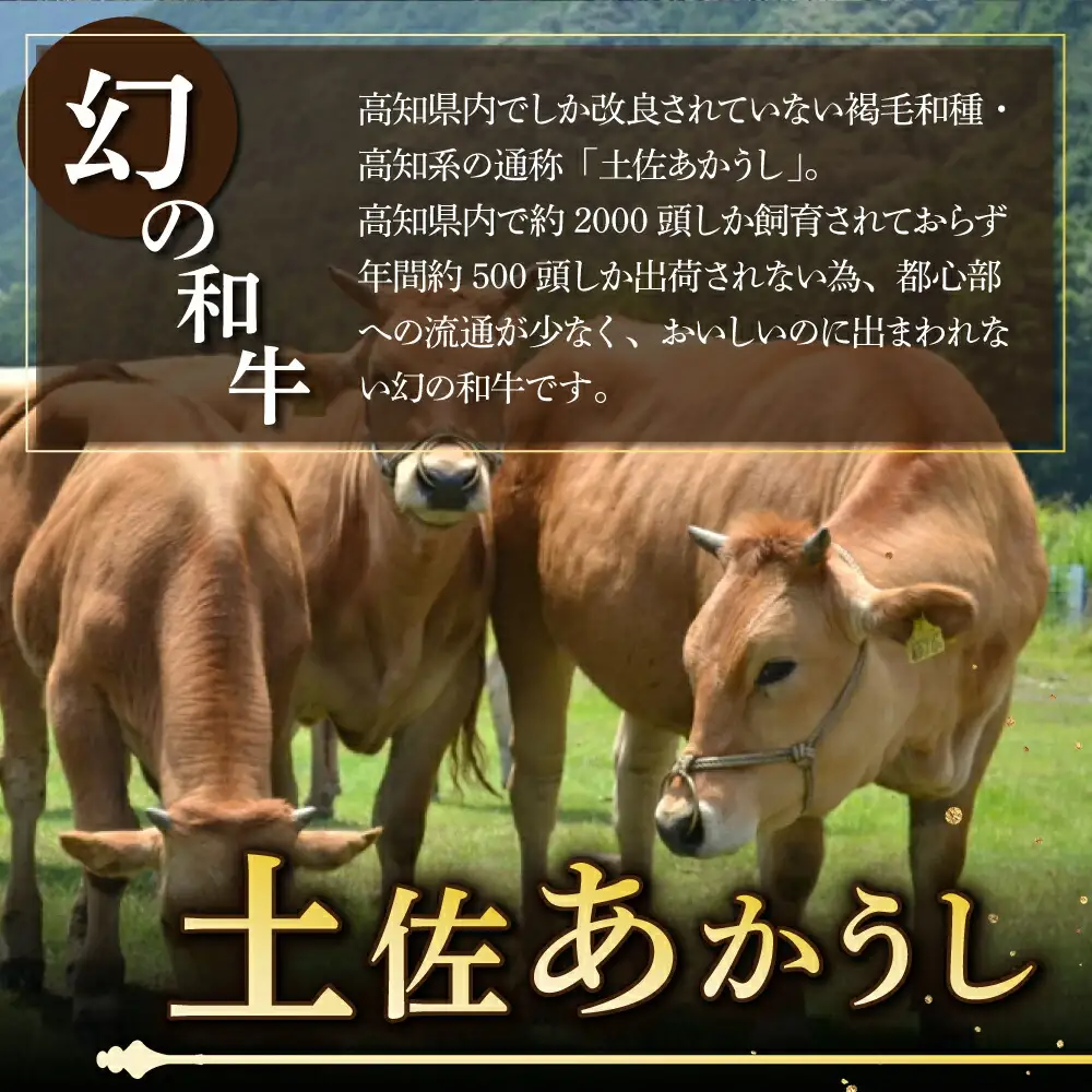 湯煎するだけ！土佐あかうしと四万十ポークのハンバーグ　５個セット
