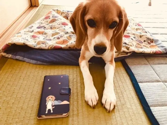 087オーダーうちの子iPhoneケース／スマートフォンケース