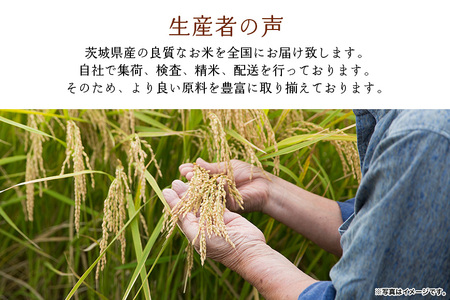 103【定期便】茨城県産こしひかり香5kg（3ヶ月連続お届け）