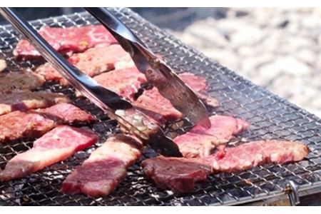 125茨城県産黒毛和牛「常陸牛」モモスライス焼肉用約500ｇ【茨城県共通返礼品】