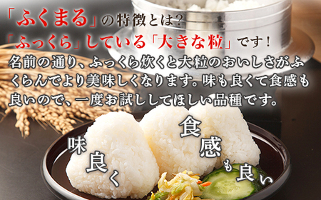 171【3ヶ月連続お届け】茨城町産ふくまる5kg 令和6年産