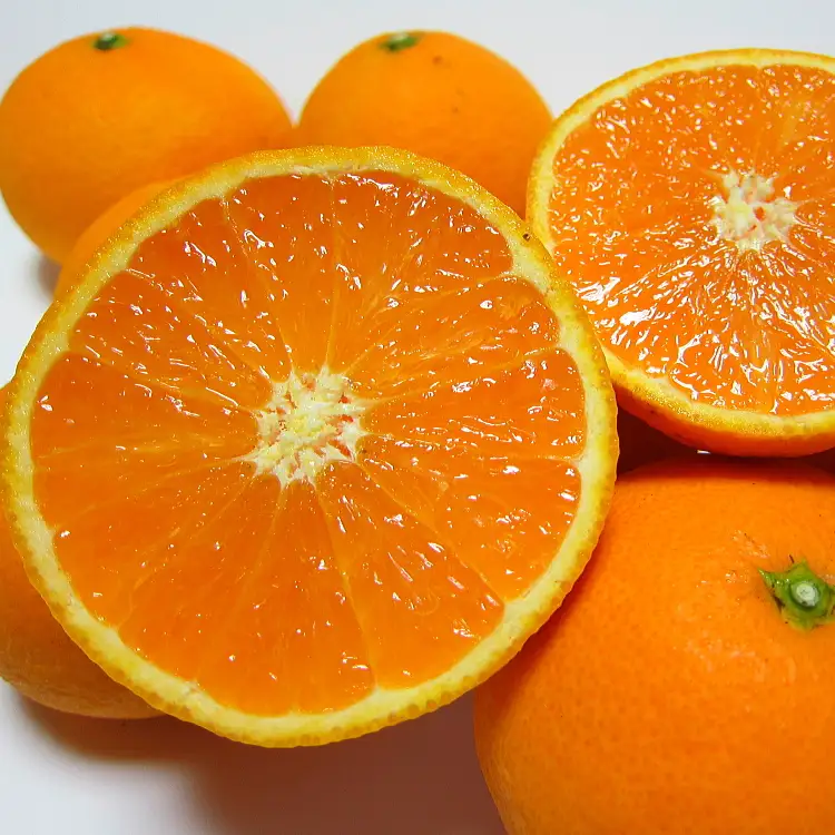 有田育ちの完熟清見オレンジ(ご家庭用)　約3kg+200g(補償分)【2027年2月下旬～5月上旬頃に順次発送予定】【ard016C】