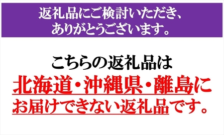 プルーン 約２kg 【先行予約・2026年9月5日～25日出荷】（北海道、沖縄、離島配送不可）サンプルーン 信州 果物 旬彩 期間限定 長野県 生 フルーツ
