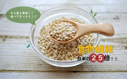 国産もち麦12kg《1kg×12個セット》雑穀 お米に混ぜて炊くだけ！小分けパック ダイエット 食物繊維  送料無料 No.138