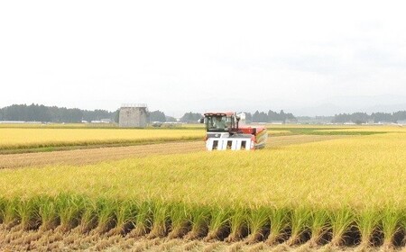 【６ヶ月定期便】岩手花巻産ひとめぼれ「健土健米」１０㎏ 【309】
