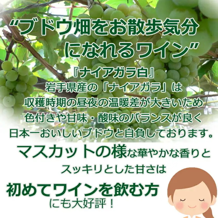 岩手県花巻産 甘口飲み比べエーデルワイン厳選４本セット 【386】