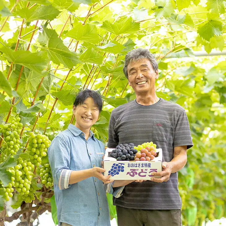 【糖度18～20度のぶどう100％使用】ぶどうジュース２本セット 【531】