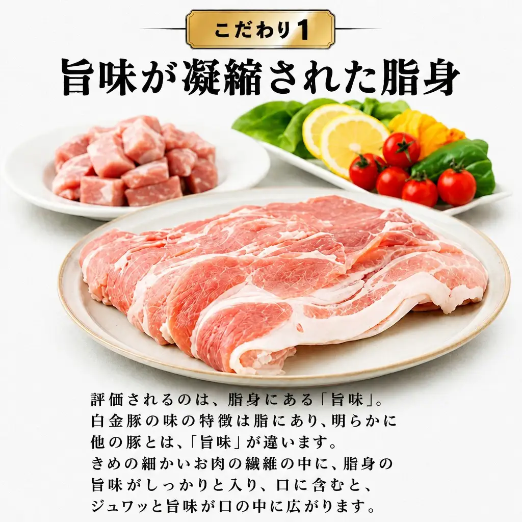 豚肉 ファミリーセットA1.2kg 白金豚肉 モモスライス・カレー用角切り 【561】